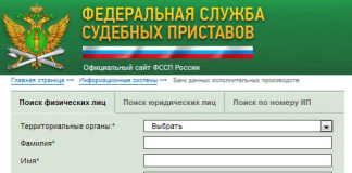 Приставы узнать задолженность по фамилии псковская. Задолженность у судебных приставов по фамилии. База данных исполнительных производств. Судебные приставы узнать задолженность.