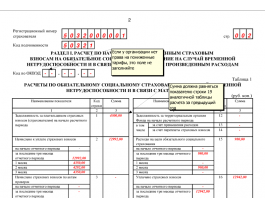 Бухгалтерская отчетность за 1 квартал 2024 год. 4 ФСС за 1 квартал 2024 образец. ФСС отчетность при увольнении 2024.